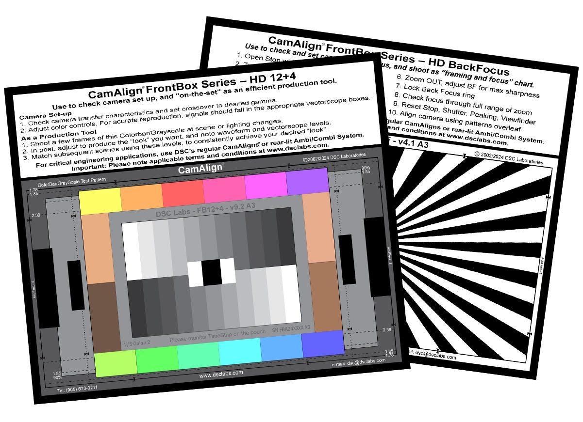 Professional Plus (12+4)