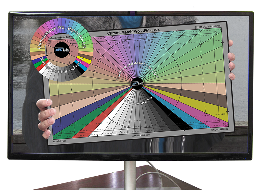 CMatch Picture Monitor